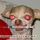 photo caricature funny_avatar_2342_www[1].free-avatars.com